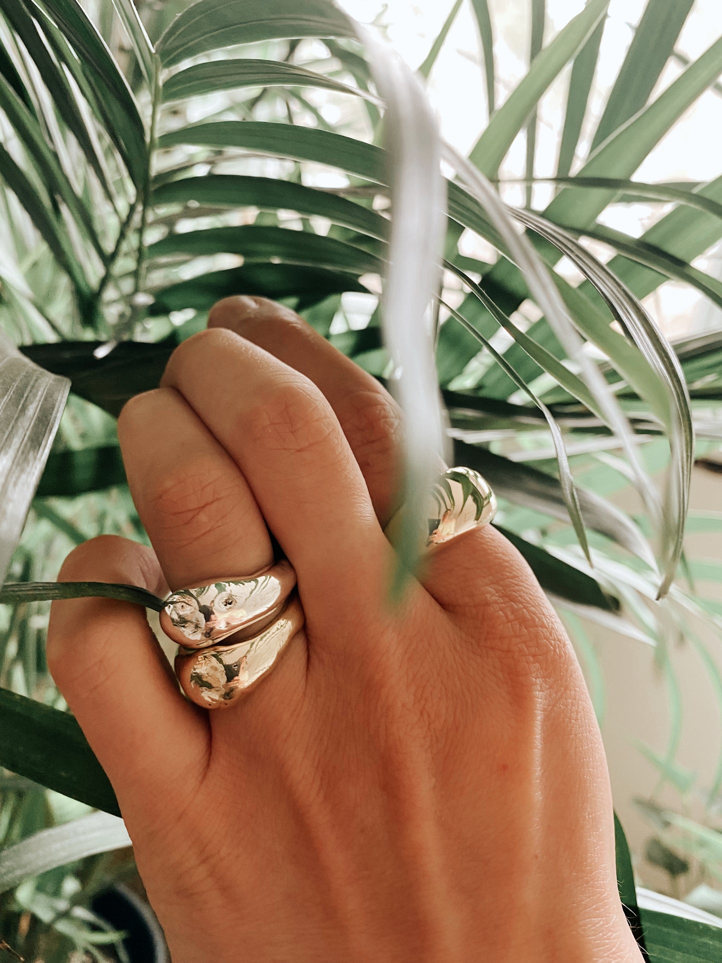 Horizon Ring